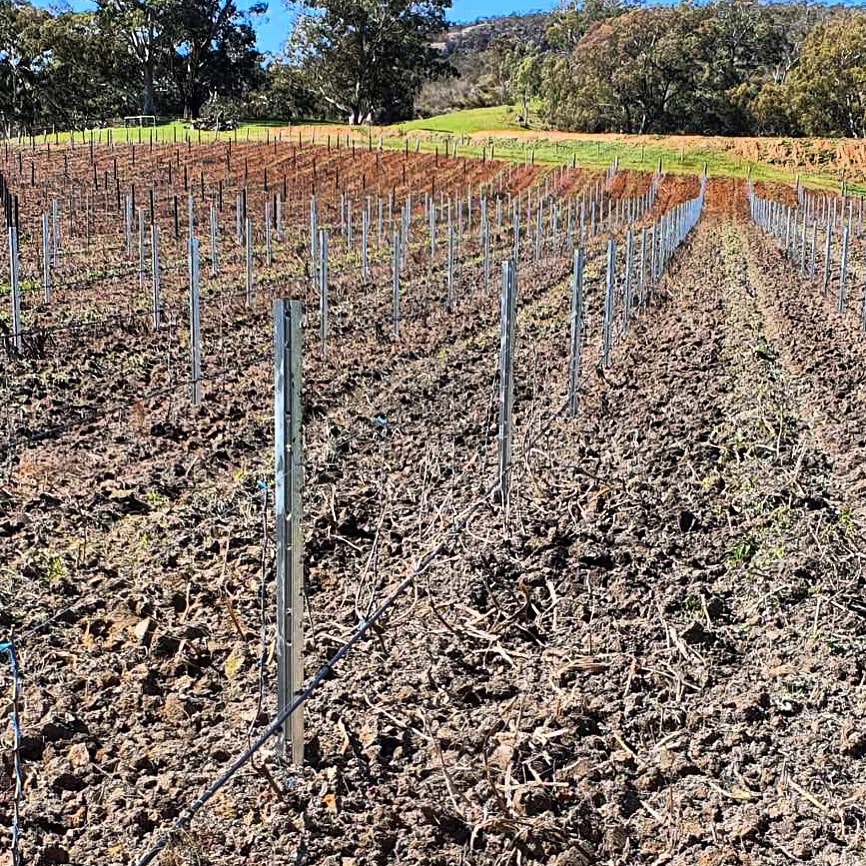 VinPost Sentinels in the Barossa Valley